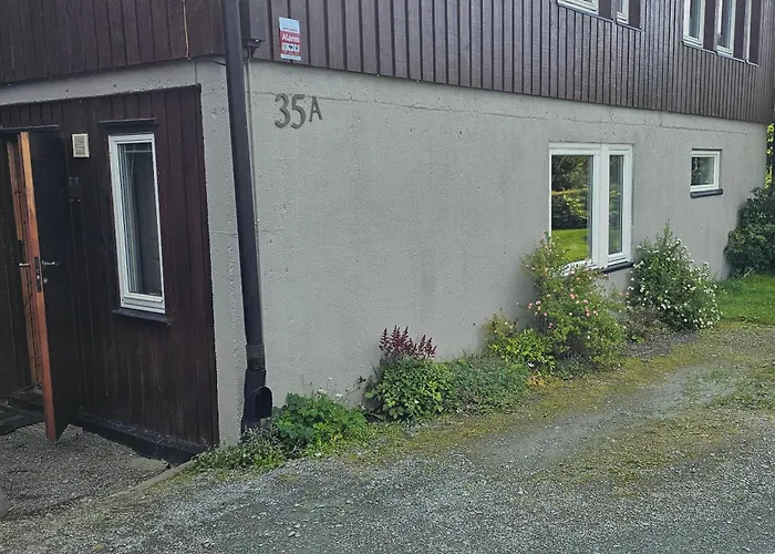 Tiny Homes Nordic 公寓 特隆赫姆